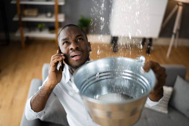 Best Ceiling water damage repair  in Ruston, WA