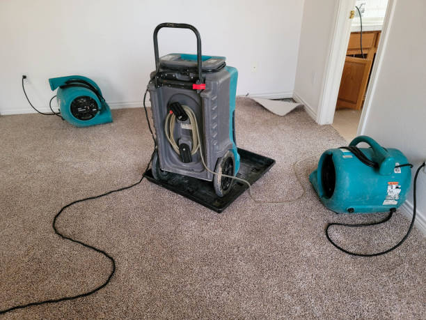 Best Water damage restoration near me  in Ruston, WA