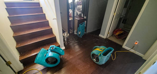 Best Flood restoration services  in Ruston, WA