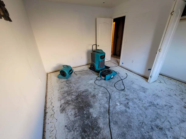 Best Water damage restoration company  in Ruston, WA