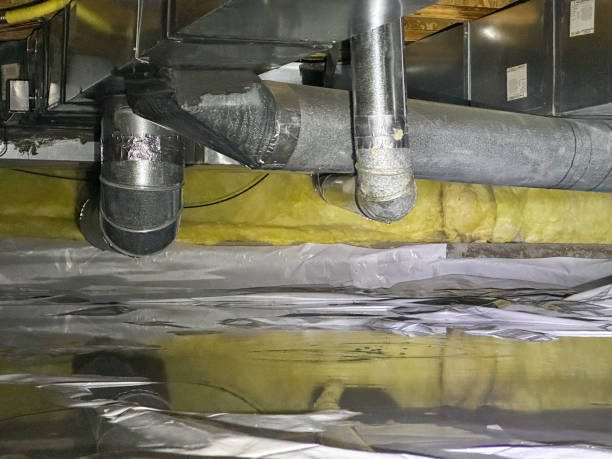 Best Water damage mitigation services  in Ruston, WA