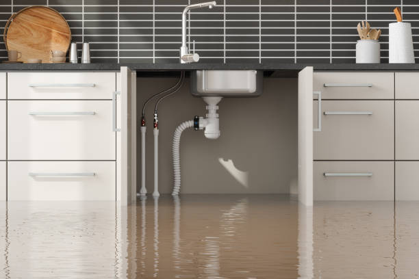 Best Water damage contractors near me  in Ruston, WA