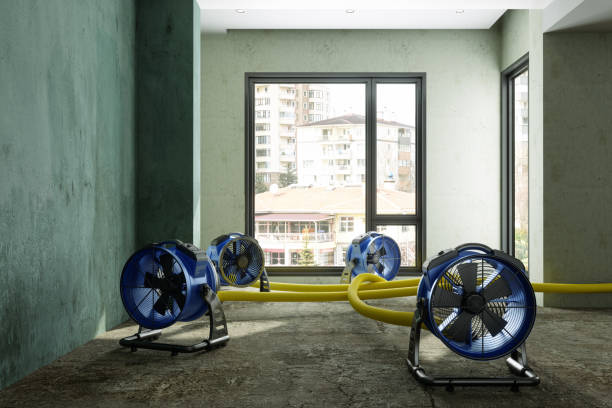 Best Water damage cleanup near me  in Ruston, WA