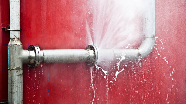 Best Flood damage cleanup  in Ruston, WA